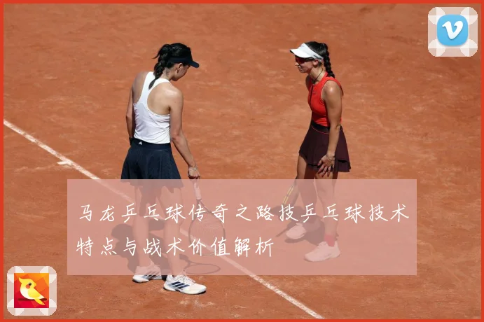 马龙乒乓球传奇之路技乒乓球技术特点与战术价值解析