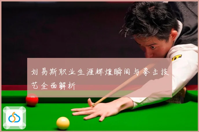 刘易斯职业生涯辉煌瞬间与拳击技艺全面解析